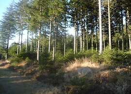 Magnificent Studio Home With Sauna