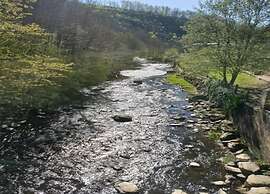 Magnificent Studio Home With Sauna