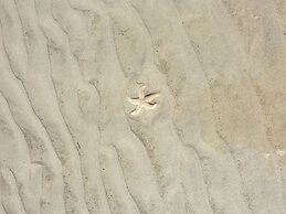 Little Seagull Modern Retreat