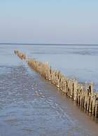 Little Seagull Modern Retreat