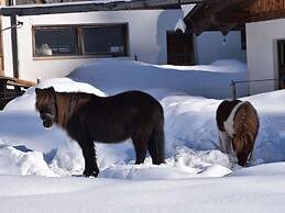 Holiday Apartment on the Hutterwirtshof