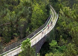 Modern Home With Swimming Pool and Wellness