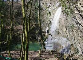Modern Home With Swimming Pool and Wellness