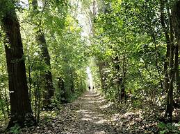 Holiday Home in Scherpenisse With Terrace