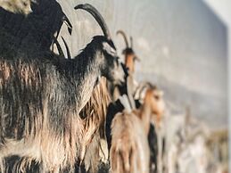 Stylish Apartment With Sauna, ski Area at 600 m