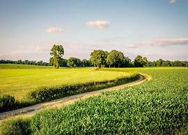 Starlit Tent Lodge Escape