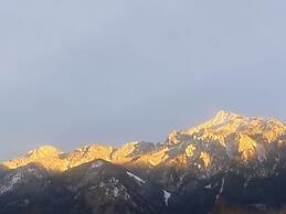 Villa Alpenblick Comfortable Holiday Residence