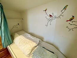 Spacious Villa Located on the Dunes