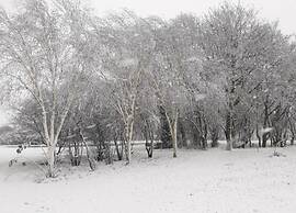 Chic Thatched-roof Stay