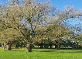 Chic Thatched-roof Stay