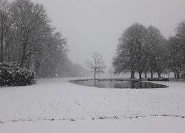 Chic Thatched-roof Stay