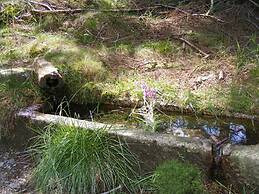 Holiday Home our Little Hunting Lodge
