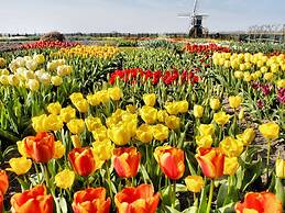 Beautiful Villa With two Bathrooms, in Noordwijk