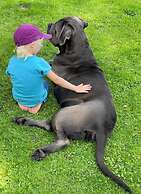 Lovely Holiday Home With Sauna