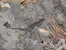Casa Mar y Sol aan Zee