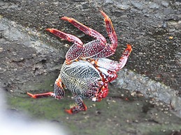 Casa Mar y Sol aan Zee