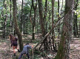 Holiday Home 2 Under the Trees