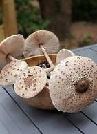 Holiday Home 2 Under the Trees