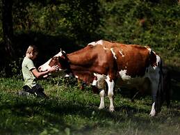 Nice Apartment in Oberkirch