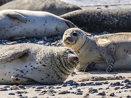 Holiday Home Vakantiepark 't Eibernest Texel