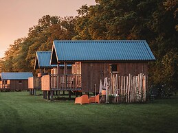 Cozy Lodge With hot tub in Drenthe