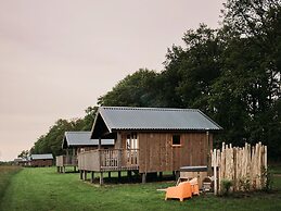 Cozy Lodge With hot tub in Drenthe