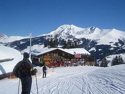Charming Apartment in Lenk