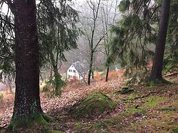 Holiday Home Waldhaus am Burbach
