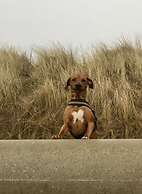 Residence Hohe Lith 4 -08