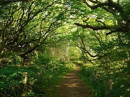 Holiday Apartment Domstag 