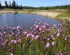 6 Person Holiday Home in Pandrup