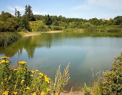 6 Person Holiday Home in Pandrup