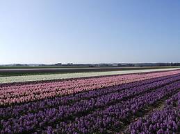 Holiday Home Dune Nest