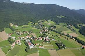 Mountain Apartment in Bad Kotzting