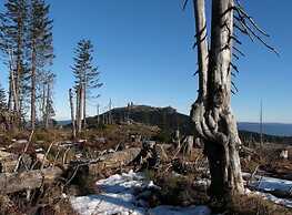 Mountain Apartment in Bad Kotzting