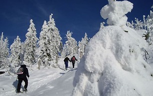 Mountain Apartment in Bad Kotzting