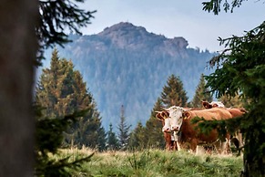 Mountain Apartment in Bad Kotzting