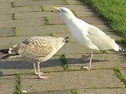 Lutje Carolinensiel Harlesiel