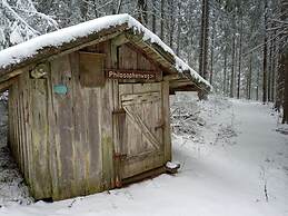 Pine Cones in the Haslehaus