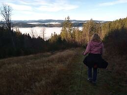 Pine Cones in the Haslehaus
