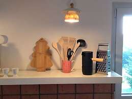 Pine Cones in the Haslehaus