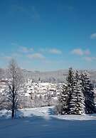 Pine Cones in the Haslehaus