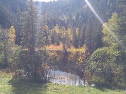 Pine Cones in the Haslehaus
