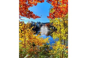 Classy Apartment in Bad Sachsa