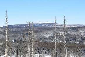 Classy Apartment in Bad Sachsa