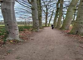 Holiday Home Nijmegen With Lake View