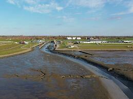 Sun, Mudflats and sea