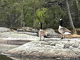 4 Star Holiday Home in Berg I Ostfold