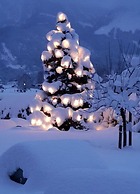 Kehlstein - Reich Family