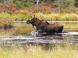 4 Person Holiday Home in Solvesborg-by Traum